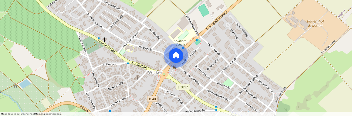 65439 Flörsheim Wicker