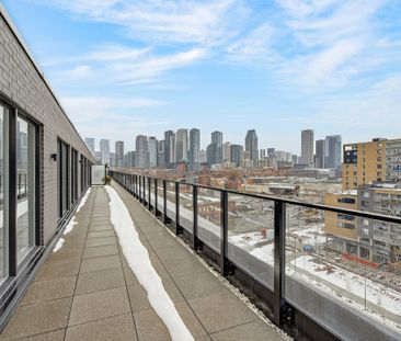 315 Rue Richmond, Montréal (Le Sud-Ouest), QC H3J - Photo 2