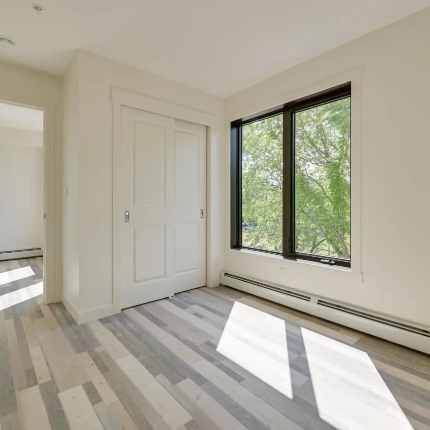 The Brickyard off 4th — 2 Bed 1 Bath - Photo 1