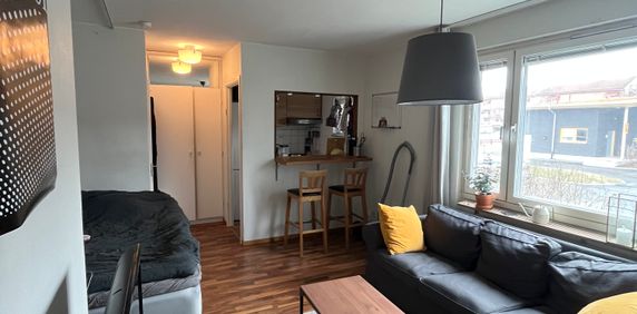 Norra Majorsgatan, Umeå - Photo 2
