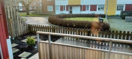 Lillekärr Norra, Hisings Kärra - Photo 2