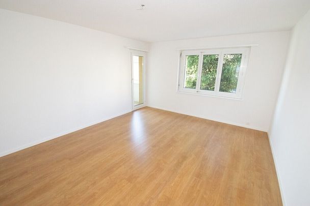 Spacieux appartement de 4.5 pièces au rez-de-chaussée - Photo 1