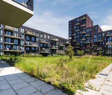 Theodora Eigemanpad 52 - Photo 6