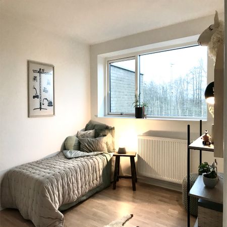 Sønæshave - Foto 3