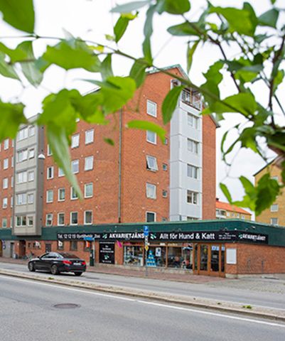 Kronborgsvägen 4, Dammfri - Foto 3