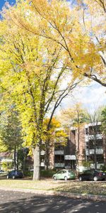 3 1/2 Ste-Foy - Tout inclus - près du cégep Garneau - octobre - Photo 4