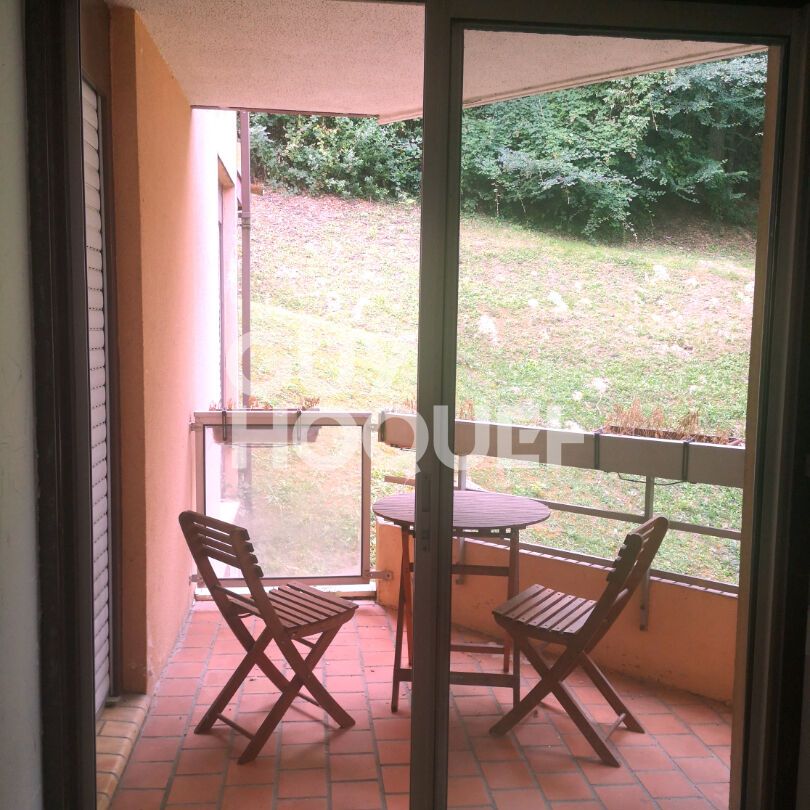 APPARTEMENT TYPE 2 AVEC TERRASSE TOULOUSE RANGUEIL - Photo 1