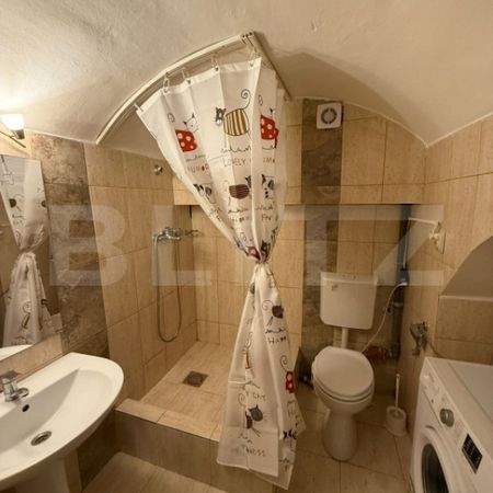 Apartament 2 camere, curte, ultracentral, 42MP - Fotografie 4