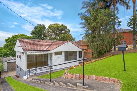 517 Maitland Rd, Mayfield West, NSW, 2304 - Photo 4