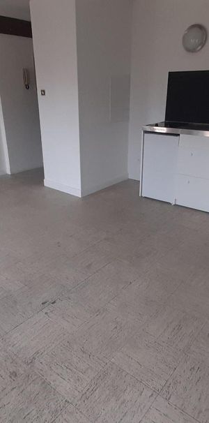 Location Appartement 1 pièce 21m² TOULOUSE 31500 - Photo 2