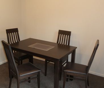 Furnished One Bedroom Apartment - Photo 4