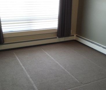 2 Beds & 1 Bath Apartment Style Property In University Area - Photo 4