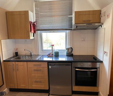 Studio Flat, Green Lanes, N4 - Photo 6