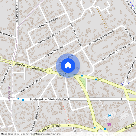 Conflans-Sainte-Honorine