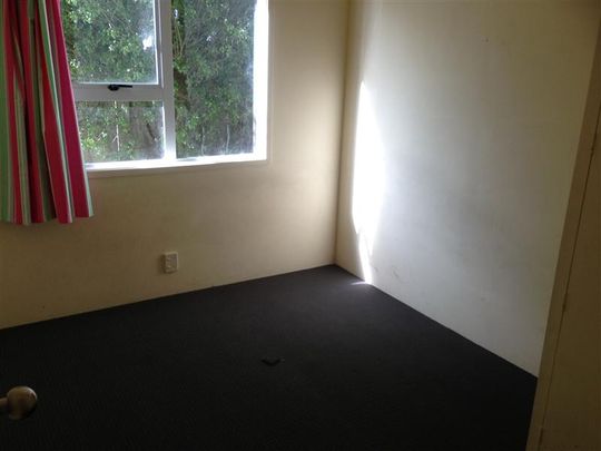 123A Finlayson Avenue, Manurewa, Auckland - Photo 1