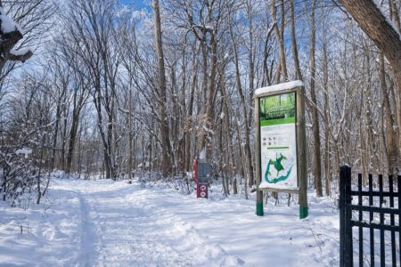 Appartement, Montréal (Verdun/Île-des-Soeurs) - Photo 5