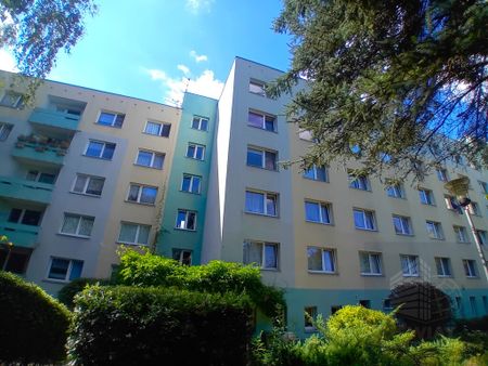 Przestronna kawalerka na os. Arkońskim - Zdjęcie 2