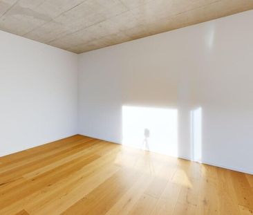 3.5-Zimmer Neubau-Erstbezug am Fusse des Uetlibergs - Foto 1