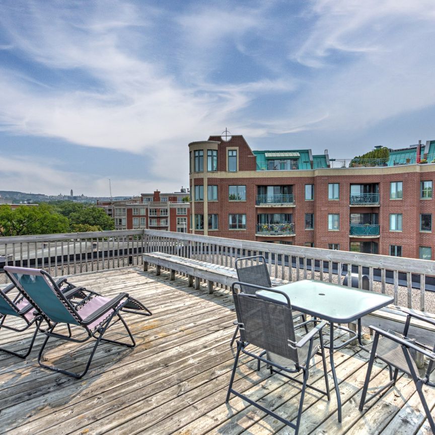Condo for rent, Mont-Royal - Photo 1