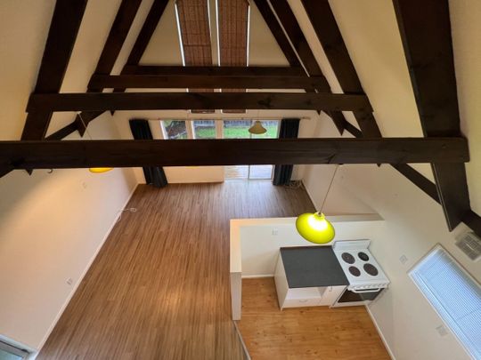 4/123 Vogel Street, Roslyn, Palmerston North - Photo 1