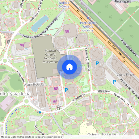 ul. Zawiszy Czarnego, Osiedle Tysiąclecia, Katowice, śląskie