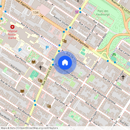 1927 Alexandre-DeSève, #123, Centre-Ville, H2L2W2, Montréal