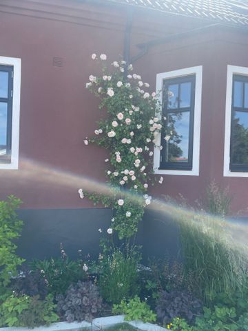 Astervägen, Arlöv - Foto 3