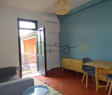 UN CHARME FOU POUR CE P2 MEUBLE AVEC TERRASSE ET JARDIN - Photo 1