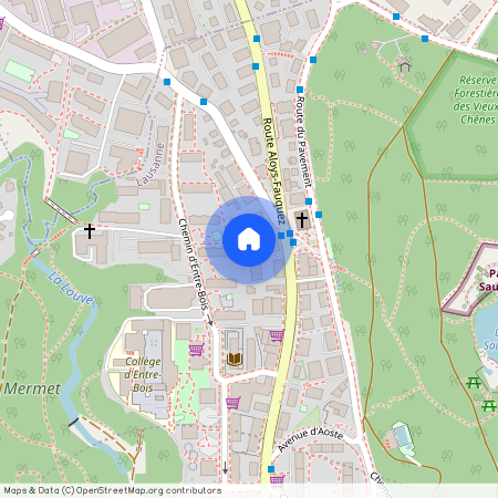 Route Aloys-Fauquez 111, 1018 LAUSANNE