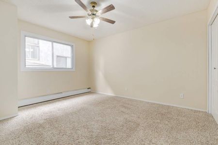 1 Bedroom - Photo 4