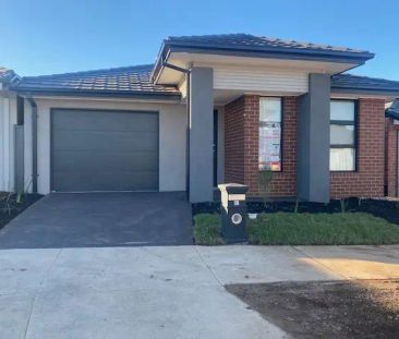 81 Madeira Dr, Truganina VIC 3029 - Photo 4