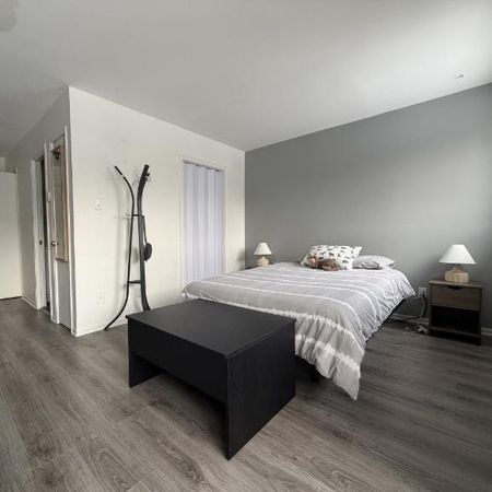 Loft à louer Neufchâtel / Lebourgneuf mars 2026 - Photo 4