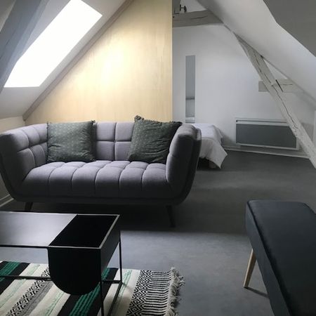 Location Appartement 1 pièce 20m² - Photo 4