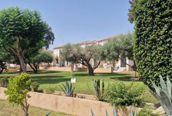 San Miguel De Salinas