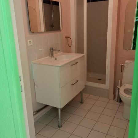 Location Appartement 1 pièce 29m² LE MANS 72000 - Photo 4