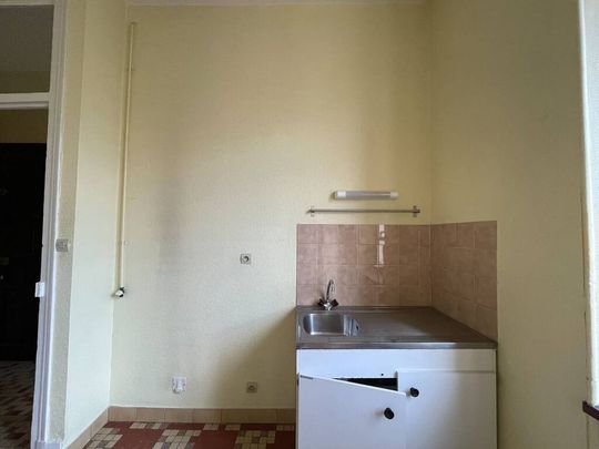 Location Appartement 1 pièce 41m² GRENOBLE 38000 - Photo 1