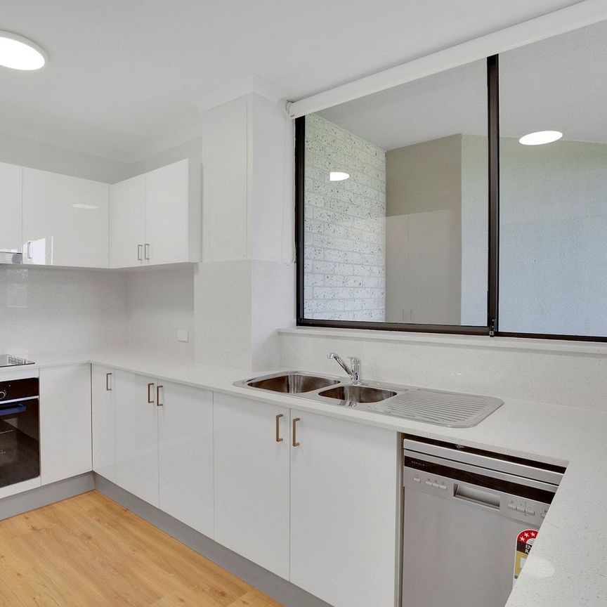 Fabulously located 2 bedroom apartment + study - Photo 1