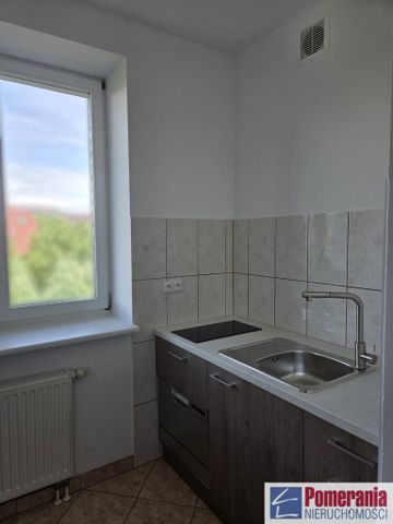 Gumieńce, Pińska - Photo 5