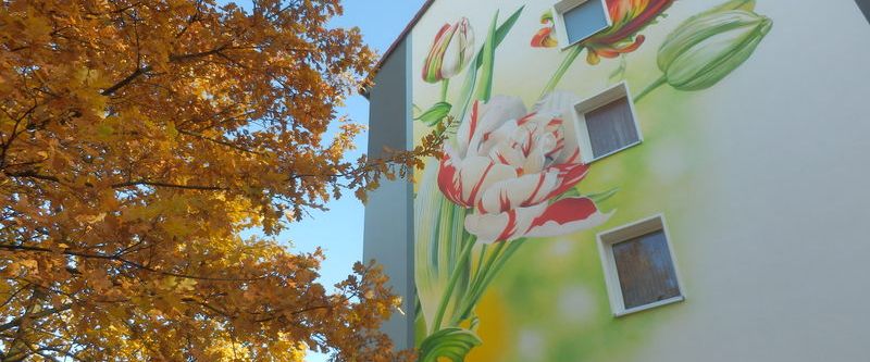Sonnige 2-Zimmer-Wohnung Nähe KLINIKUM - Foto 1
