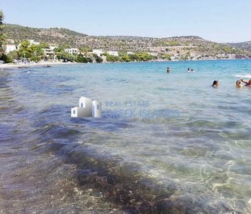 Διαμέρισμα για ενοικίαση Πόρτες (Αίγινα) - Φωτογραφία 3