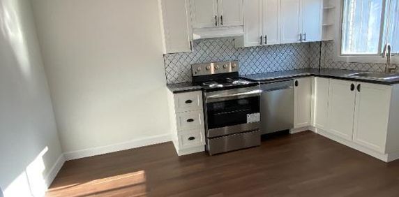 Grand 4½ rénové loué avec jardin privé – 5 électroménagers inclus – Rosemont - Photo 2