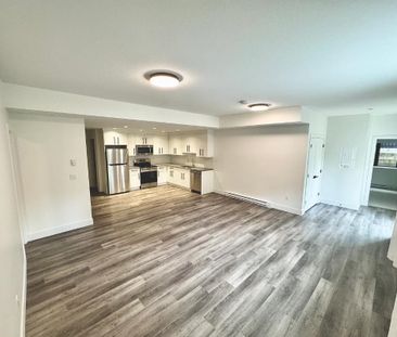 22184 44a Avenue #LEGAL Bsmt, Langley, BC V2Z0B5 - Photo 2