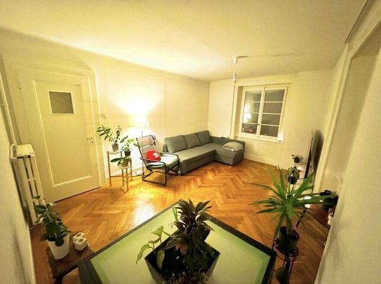 Nice 2.5 room apartment in Lausanne - Photo 1