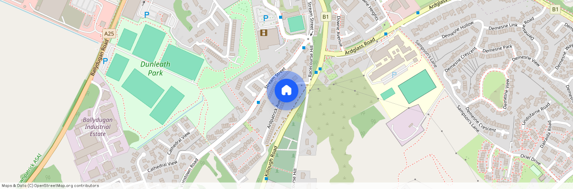 5 Ardpatrick Avenue, Downpatrick, BT30 6JF