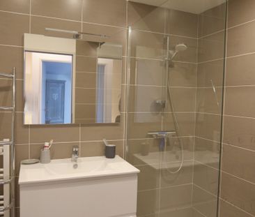 Location Appartement 2 pièces 67m² CHAPONOST 69630 - Photo 5