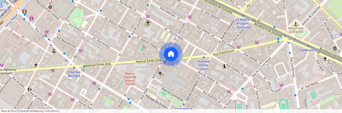 Rue du Théâtre, Francja, Paris