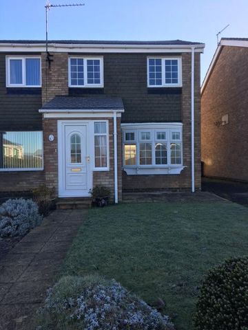 3 bedroom semi-detached house to rent - Photo 5