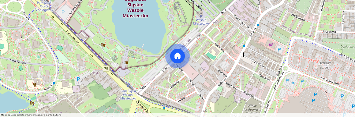 Złota 19, Dąb, Katowice, śląskie