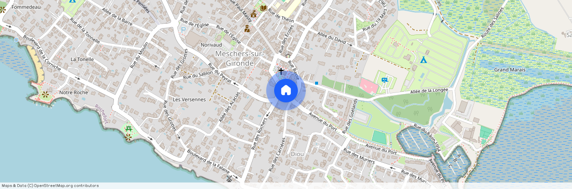 NOUVELLE-AQUITAINE, CHARENTE-MARITIME (17), 17132, Meschers Sur Gironde