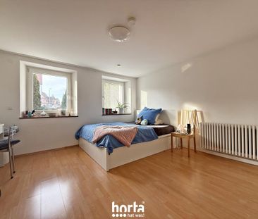 Teilmöblierte 2,5-Zimmer-Wohnung in Nähe zur Fähre in KN-Allmannsdorf - Photo 2